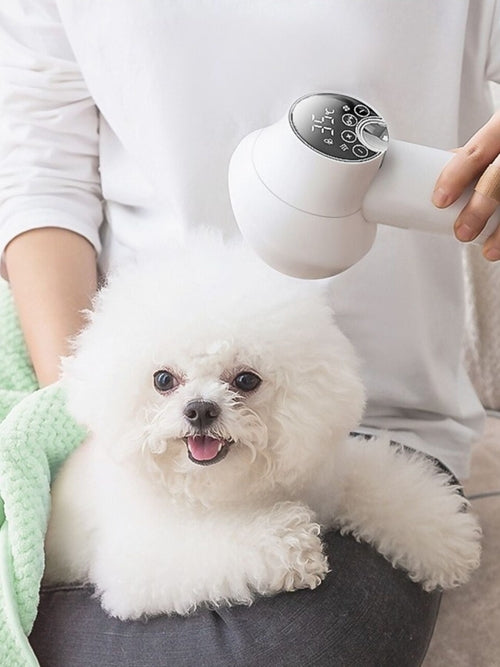 PawNest Breeze — Low Noise Pet Hair Dryer with Grooming Comb