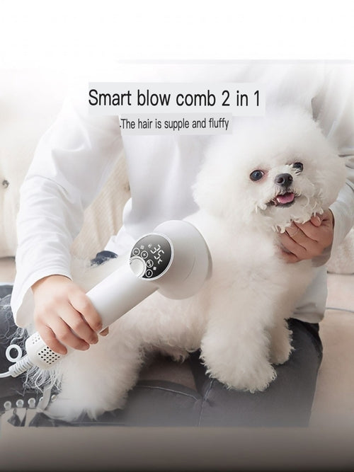 PawNest Breeze — Low Noise Pet Hair Dryer with Grooming Comb