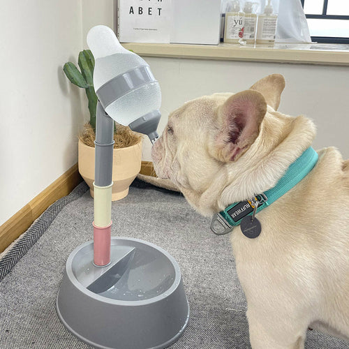 Automatic Pet Water Dispenser Stand Feeder Bowl Height Adjustment