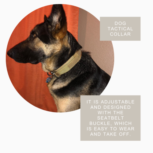 PawNest Tact — Military-Grade Tactical Dog Collar, Heavy Duty