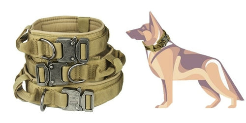 PawNest Tact — Military-Grade Tactical Dog Collar, Heavy Duty